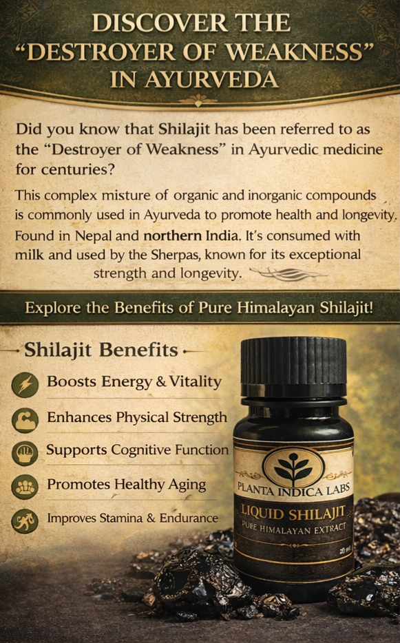 Planta's Shilajit - Image 3